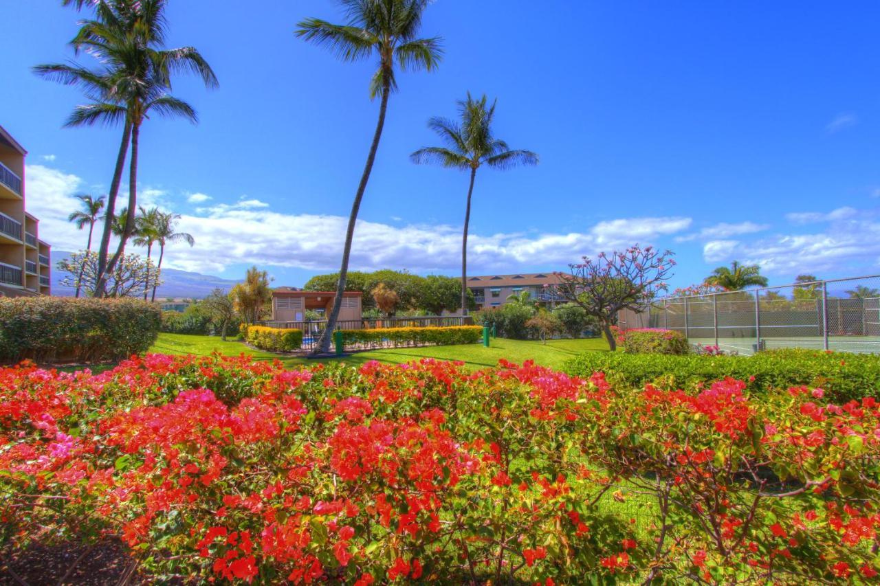 דירות קיהיי Maui Vista 3101 מראה חיצוני תמונה